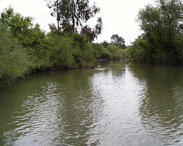 Rio Yaqui