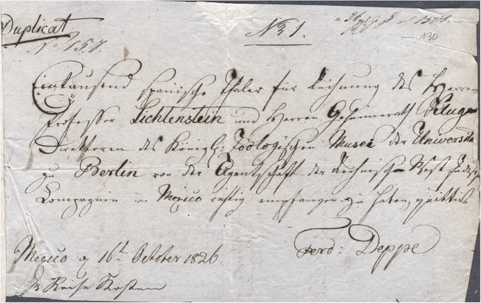 Reçu de 1000 « thalers espagnols », que DEPPE a reçus par l'intermédiaire d'intermédiaires sur ordre de LICHTENSTEIN et KLUG (alors directeurs du Musée zoologique de Berlin) pour rembourser ses frais de voyage au Mexique. Ferdinand DEPPE a confirmé la bonne réception du montant au Mexique le 16 octobre 1826.