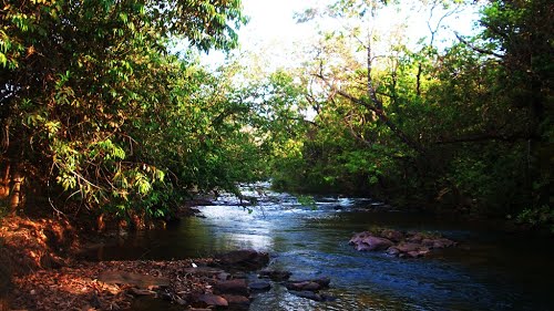 Ribeirã o Buritis.