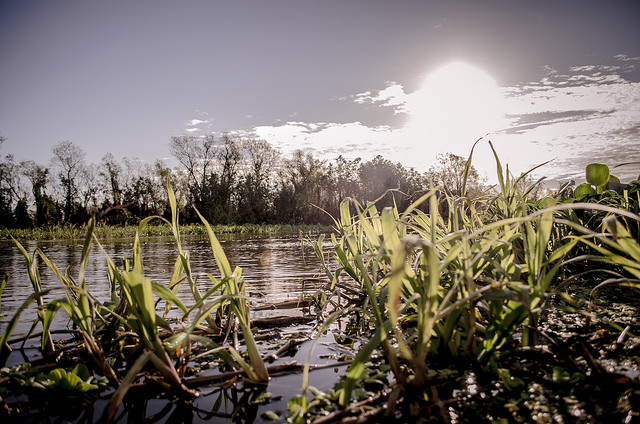 Rio Paraná.